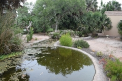 Pond in the Sabal Palm Sanctuary garden