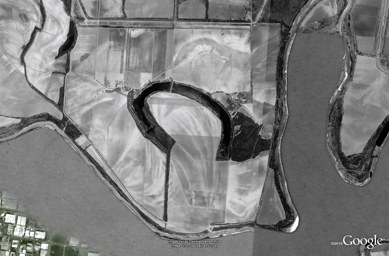 Aerial of the Sabal Palm Forest as it is now.