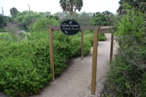 Pergola in the Sabal Palm Sanctuary garden