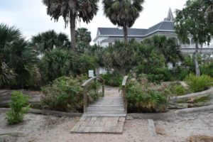 Bridge over pond in the Sabal Palm Sanctuary garden