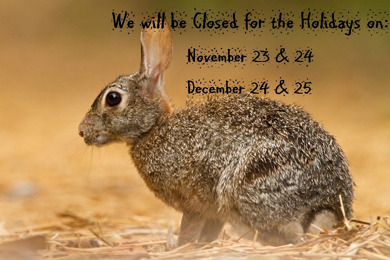 We will be closed for the holidays on
November 23 & 24
December 24 & 25