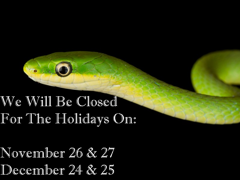 2025 Seasonal Closed Dates: November 26 & 27 December 24 & 25
